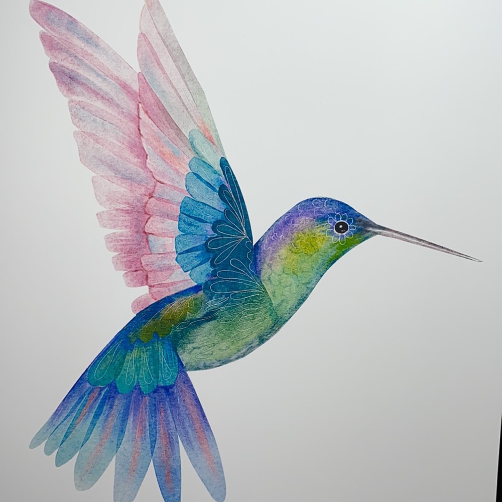 Watercolor Hummingbird Wall Art Illustration Print Poster Unframed - Picture 17 of 17